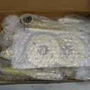 AddGrace Gold Industrial Pipe Clothing Rack 2 Pack Wall Mounted Clothes Rack for Hanging Clothes 18Inch Detachable Garment Bar for Bedroom Bathroom and Laundry Room 46cm