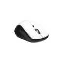 Computer Mouse