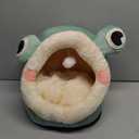 Jiupety Cute Cat Bed, Indoor Lovely Velvet Igloo for Cat, Warm Cave Sleeping Nest Bed for Puppy and Kitten, Green Frog, S