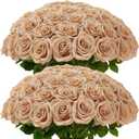 Carlitas Blooms 50pcs Beige Roses Artificial Flowers Bulk Fake Roses Silk Flower with Stems Realistic Flowers for Wedding Centerpiece Party Birthday Decor