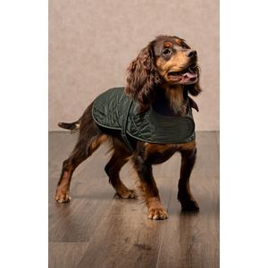 Blanket Dog Coat (18.5in) (Green)