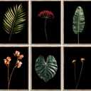 Dark Moody Floral Botanical Canvas Wall Art Tropical Plants Leaves Flower Painting Picture Wall Decor Minimalist Plants Poster Print Artwork for Living Room Bedroom Bathroom Home Decoration,Unframed (16L"x12W")