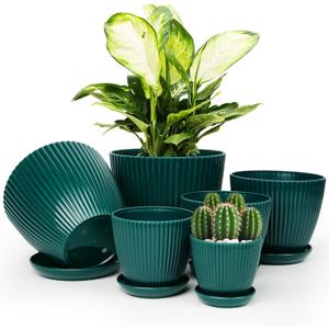 Plant Pots Indoor with Saucers & Drainage - 6 Pack Flower Pots - Plastic Planters for Indoor Planter - 7.5/6.6/5.8/5.0/4.3/3.5 inches Sizes for All Different Types of Plants-Dark Green