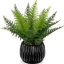 DILATATA Faux Plant Indoor in Ceramic Pot 11" Artificial Potted Fern Fake House Plants for Desk Office Bathroom Garden Decoration - Black