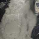 DANENOSA Electric Heated Blanket Throw Size 50''x60'' Soft Flannel & Sherpa Electric Blanket with 10 Heating Levels, Automatically Shut Down After 8h with Overheat Protection Machine Washable