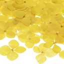 60-Pack Dried Pressed Flowers for Resin, Real Natural Bulk Dry Floral for Crafts/DIY Jewelry/Soap Making/Scrapbooking/Candle/Epoxy Resin Supplies [Yellow]