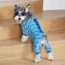 CuteBone Shark Costume Dog Pajamas, Stretchy Spandex Crystal Velvet Sleepwear Coat for Small Dogs, Soft & Warm Pet Outfit Clothes for Cold Weather, Cozy Pullover Design COSP07 XL