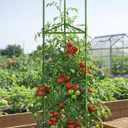 Growsun 51 inch Tomato Cage Heavy-Duty Plant Support Cucumber & Vine Vegetables Adjustable Green Metal Garden Trellis for Climbing Plants, Indoor & Outdoor Use, 6 Pack