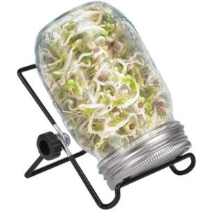 Sprouting Jar Kit, Wide Mouth Quart Mason Jars with Screen Sprout Lids & Stand, Seeds Germination Growing Kit, Seed Sprouter Set for Growing Organic Broccoli Alfalfa Mung Microgreens Bean (1Pack)