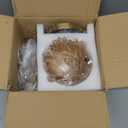 Modern Wall Sconces with Amber Flower Glass Shade 1 Pack, Mid Century Bathroom Vanity Wall Light Fixtures Gold Vintage Wall Lights with Switch for Mirror Bedroom Living Room