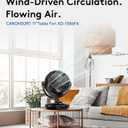 CARONSORT Desk Oscillating Fan, AC Air Circulator Fan, 11 Inch Table Fans for Whole Room, Vertical Manual + Oscillating Fan, 3 Speeds, Quiet Fan, for Bedroom/Dorm/Office/Home, Medium