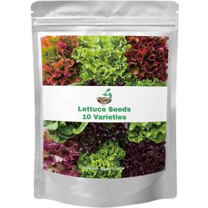 20,000+ Lettuce Seeds, Heirloom Vegetable Seed for Planting Indoor Outdoor, 10 Varieties of Fresh Salad Greens for Hydroponics Kit, Easy to Grow for Garden Beginners, Non-GMO