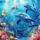 500 Piece Puzzles for Adults Dolphin & Seaworld 20.5 x 15 Inch 500 Piece Jigsaw Puzzles for Adults Puzzles 500 Pieces for Adults Holiday Educational Challenge Puzzle