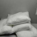 MIULEE Set of 2 Throw Pillow Inserts 20x20 Inches, Nowoven Decorative Pillow Inserts for Living Room