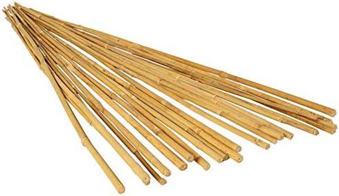 Hydrofarm HGBB6 6' Natural, pack of 20 Bamboo Stake, Tan