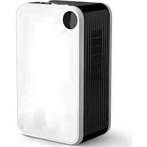 Dehumidifiers for Home