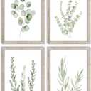 LuZhiQiang Botanical Wall Decor Sign 16x11 Inch Sage Green Plants Prints Set of 4 Modren Minimalist For Bathroom Bedroom Laundry Room Aesthetic Watercolor Small Wood Framed Wall Hanging Art (White)