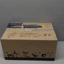 The Honest Company Clean Conscious Training Pants for Sensitive Skin, Hypoallergenic, Fragrance-Free, Let's Color See Me Rollin', Size 4T/5T (38 lbs), 48 Count