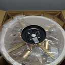 20 Inch Boho Caged Fandelier Ceiling Fans with Lights and Remote Control, Small