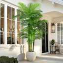 6FT Artificial Palm Tree - Tropical Faux Golden Cane Palm Tree UV Resistant Tall Fake Plant Indoor with Black Pot for Home Office Living Room Indoor Outdoor Decor Housewarming Gift