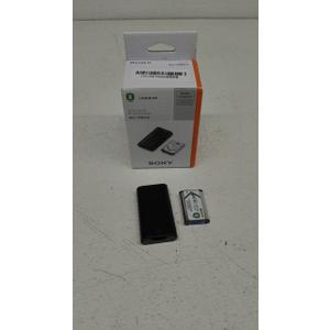 Sony ACCTRDCX Travel DC Charger Kit (Black)