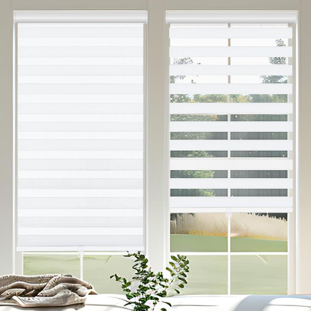 Cordless Zebra Blinds for Windows, 20" W x 72" H Zebra Roller Shades with Valance Free Stop Zebra Blinds Roller Shades, Light Control Window Treatments Dual Layer Sheer Blinds for Day and Night (White)