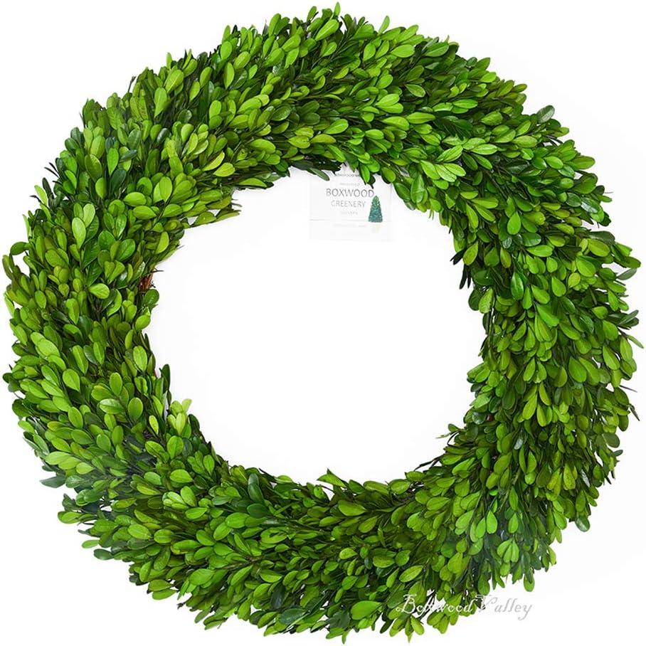Boxwood Wreath 20 inch X-Large, Preserved Natural Boxwood Designed for Christmas Wedding Home Decoration, Farmhouse Style Realistic Full Green Real Decoration, Indoor Home Office Shop Hotel Decor