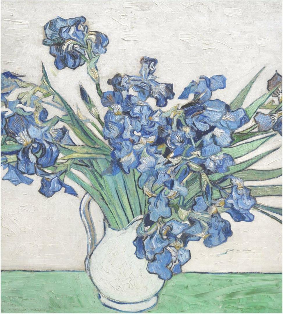 Naanle Dishwasher Magnet Cover Floral Irises Van Gogh Front Dishwasher Cover Magnetic Home Cabinet Decals Appliances Stickers Refrigerator Decorative 23" x 26" (White 18)