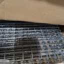 Humane Live Animal Trap Cage 32" × 13" × 11",Heavy-Duty Live Catch Cage for Raccoon, Squirrel, Stray Cats, Groundhogs, Armadillos, Opossums, Rabbits, Skunk, Mole, Small Wildlife Control