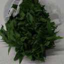 12 Pcs Tropical Green Leis Fern Leaf Necklace Green Fake Hawaiian Leis Artificial Fern Garland for Summer Luau Beach Pool Party Favors Decorations, 43 Inches