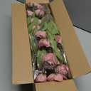 VIERENA 12 Pcs Faux Silk Peony Artificial Flowers for Vase -27", Bulk Fake Peonies Branches with Stems for DIY Bouquet Centerpieces Wedding Fillers Arrangements Shower Decorations (Warm Pink)