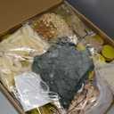 60 Set 1.5 oz Mini Plastic Honey Jars Small Honey Jars Party Favors in Bulk with Gold Lids Wood Bee Dipper Thank You Card Burlap Fabric Twine String Natural Plant for Baby Shower Wedding Gift