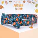 Faygarsle Bow Tie Dog Collar Halloween Fall for Small Medium Large Dogs Fashionable Cute Collars for Male Female Dogs Orange Cotton Collar with Metal Buckle Pumpkin Chestnuts Pattern M