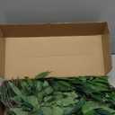mizii 36pcs Italian Ruscus Artificial Greenery Stems Silk Green Leaves 20in Fake Spray Plants Stem Garland Greenery Decoration for Centerpieces Wedding Arch Flower Bouquet Table Room Wall Decor (36)