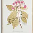 Vintage Botanical 3D Print Metal Framed Canvas Wall Art, Raised Line Detailing Pink Blooms and Leaf Illustration, 12x16 Textured Floral Nature Artwork, Living Room Bedroom Entryway Decor