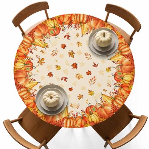 Fall Thanksgiving Round Tablecloth, Farm Pumpkin Botanical Maple Leaves Waterproof Fitted Table Cover with Elastic Edge, Fall Harvest Table Cloths for 55"-60" Indoor Outdoor Round Tables