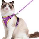 rabbitgoo Escape Proof Cat Harness and Leash Set, M, Purple & Yellow | 4-point Adjustable, Quick-snap Buckles, Soft Breathable Mesh, Reflective Strips, Sturdy Clip, for Medium to Large Cats