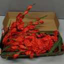 IPOPU Red Gladiolus Artificial Flowers 30.3 in Long Stem Flowers 10 PCS Gladiolus Flowers Silk Artificial Flowers for Home Wedding Office Decoration(Red)