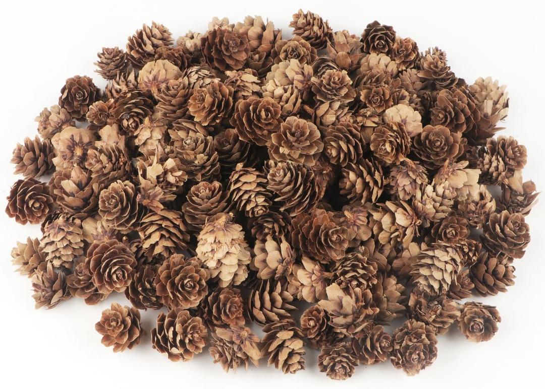 Jangostor 120 PCS Pine Cones Decorations, Natural Pine Cones Bulk - Mini Pine Cones Christmas Pine Cones for Table Christmas Tree Crafts Gifts Thanksgiving Fall and Xmas Home Decor