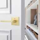 goldenwarm Gold Dummy Door Handles, No-Turning Brushed Brass Door Dummy Levers, Brushed Gold Dummy Handle2 Pack