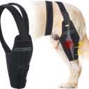 Dog Knee Brace for Back Leg Fit Large to Small Dogs Strong Support Adjustable Dog Legs Braces with 2 Metal Strips for Hip Dysplasia, ACL, CCL, Ligament Injuries & Osteoarthritis (Right Leg, M)