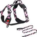 Petmolico No Pull Dog Harness Leash Set, Front and Back Metal Clips Easy Walk Dog Harness with Handle for Training Outdoor Adventures, Peony Small
