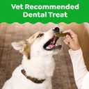Greenies Veterinarian-Recommended Adult Natural Dental Dog Treats Petite Size, Original Flavor, (4) 30 ct Packs (120 Treats) (EXP 09/15/27)