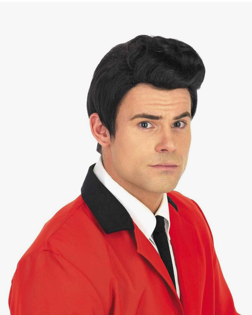 fun shack 50's Men's Black Wig with Sideburns, 1950s Costume Wig for Men, Retro Black Wig for Boys, One Size