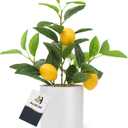 AceList Nearly Natural Small Fake Lemon Tree for Lemon Decor, 14.6 Inches Artificial Lemon Tree with White Pot Potted Plant Perfect for Kitchen, Home, Indoor