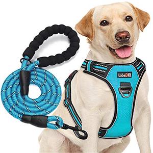No Pull Dog Harness Adjustable Reflective Oxford Easy Control Medium Large Dog Harness with A Free Heavy Duty 5ft Dog Leash L