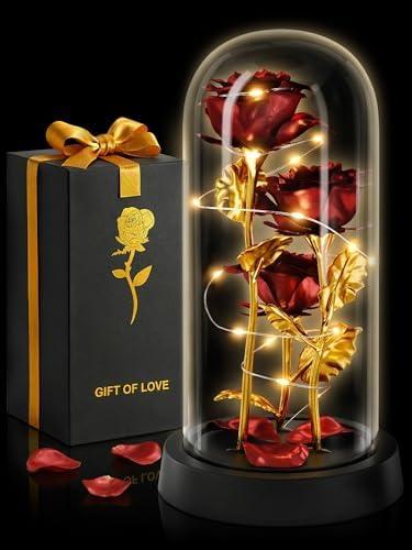 Rose in Glass Dome with LED Lights in Gift Box — Mothers Day Gifts for Mom Grandma, Birthday Gifts for Women, Lighted Glass Rose — Romantic Forever Flowers, Battery Powered Home Decoration (Red)