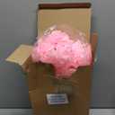 Dingion 50's Soda Shop Party Decor Pink 50s Theme Party Decorations Includes Soda Milkshake Glass Straws Artificial Carnation Flowers Cherries Records Crepe Paper(6 Sets)