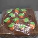 Carrot Dog Toys-Carrot Snuffle Mat for Dogs,Interactive Dog Plush Puzzle Toys,2 in 1 Non-Slip Nosework Feed Games Pet Stress Relief with 12 Carrots