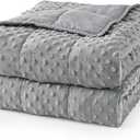Mr. Sandman Weighted Blanket for Adults, Minky Dots Heavy Blanket for Woman,Man Sleeping/Calm, Soft, Cozy and Cooling Weighted Throw Blankets, Machine Washable, 60 x 80in, 20 Pounds, Grey